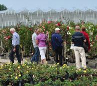 Opendeurdagen Casteels Rozen juni2013 veel volk aan rozenmuur 2