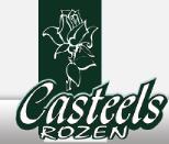 logocasteelsrozen